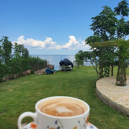 Poarta Apelor Otel Sarichioi Dış mekan fotoğraf