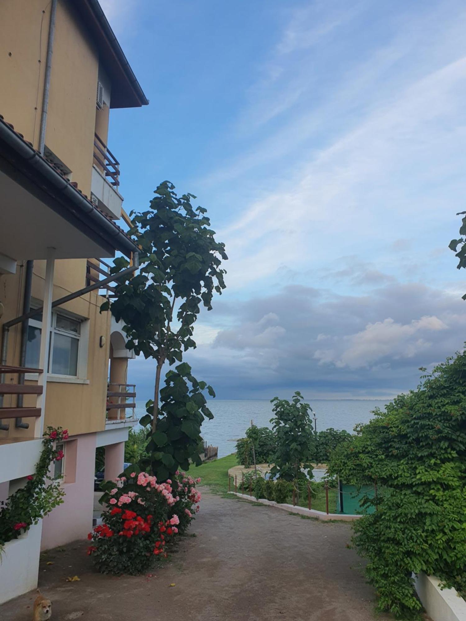 Poarta Apelor Otel Sarichioi Dış mekan fotoğraf